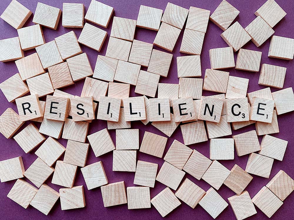 la resilience - Alice Ferrat